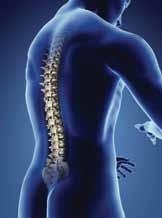 O que é Osteoporose?